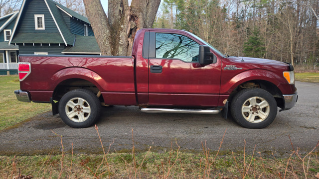 2010 Ford F-150 XLT Regular Cab 4.6L V8 in Cars & Trucks in Muskoka - Image 4