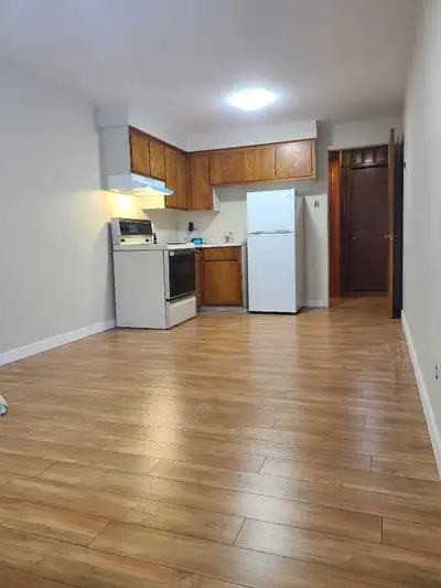 Batchelor / Studio 1 & 1/2 a Louer. Recement renovè, cet appartement se trouve sur une rue tranquill...