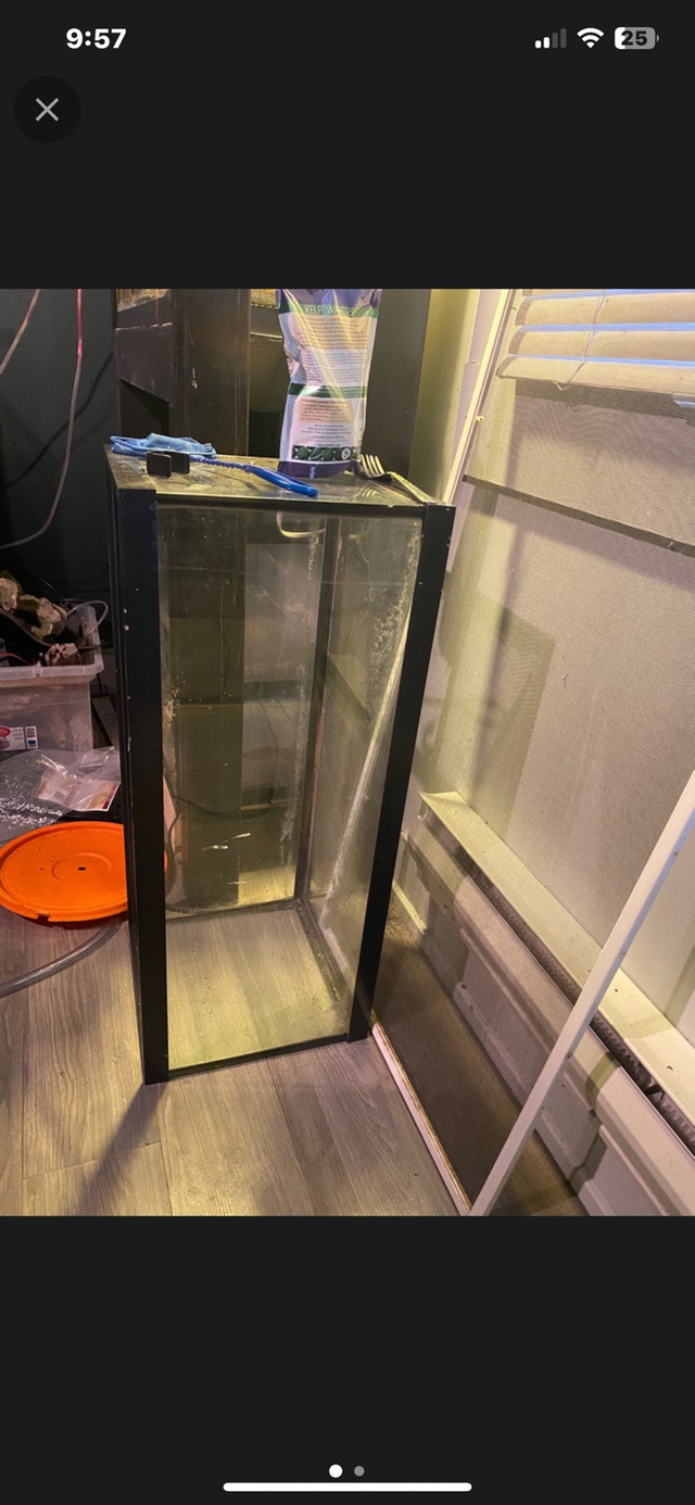 4x 20 gal long  in Fish for Rehoming in Delta/Surrey/Langley