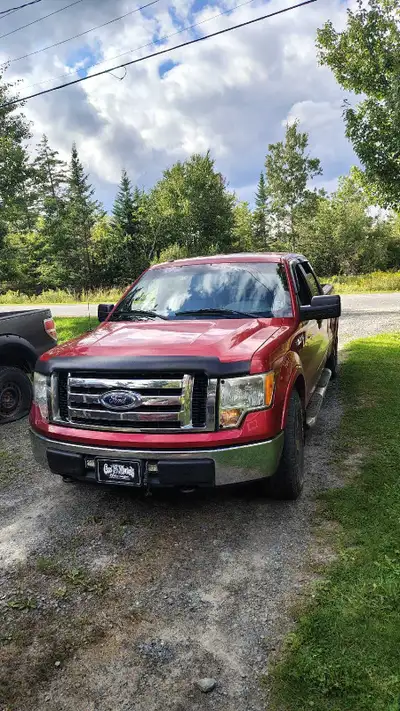 2011 Ford F-150 4x4 truck runs , stops and did drive but trans lines leaking . Truck has the 5.0 L c...