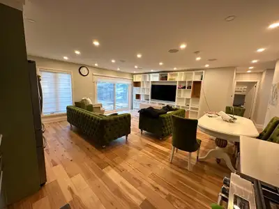 Fully furnished house