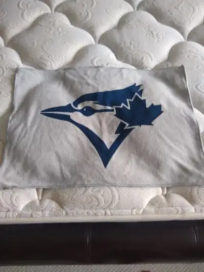 Grey Blue Jays Rally Towel, View more