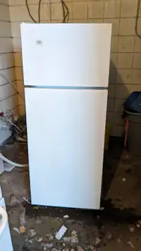 24 inch apt size Roper fridge