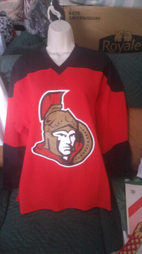 NHL Ottawa Senators jersey.