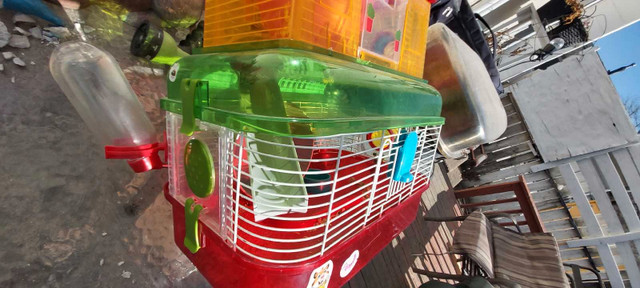 Hamster cage with accessories  in Small Animals for Rehoming in Winnipeg - Image 3