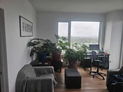 Édifice Le Novia- Magnifique 4 et demi à Longueuil - 1 août