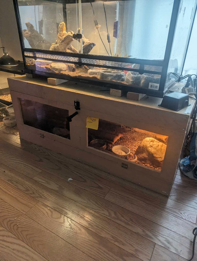 Costom enclosure for sale in Reptiles & Amphibians for Rehoming in Stratford - Image 2