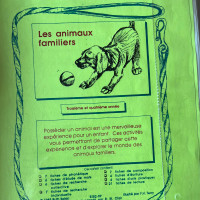 French immersion teaching units grades 3-6
