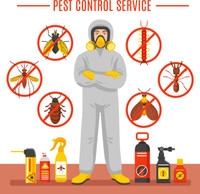 Pest Control,Exterminator,Bed Bugs,Roaches 647--370--9822