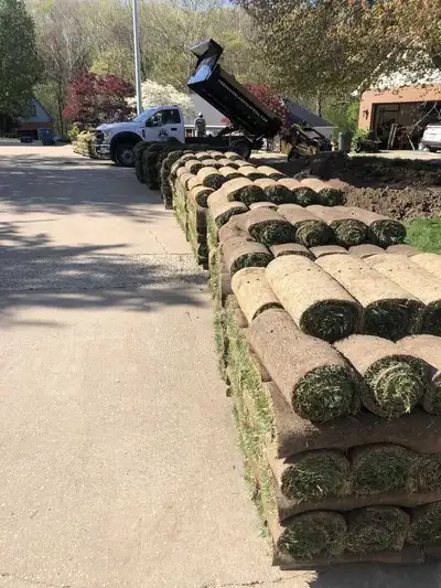 sodding grass installation , View more