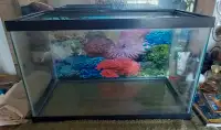 10 gallon fish tank w/Accessories