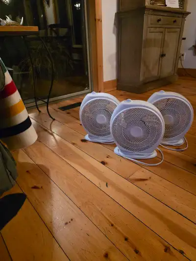 Fans all three, View more