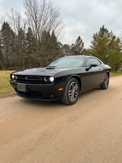 2019 Dodge Challenger SXT for sale. Accident free. Black on black, cloth interior, 3.6L 6 cylinder A...