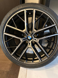 Genuine BMW M Performance Rims and Tires 235/35R19