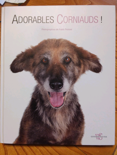 ADORABLES CORNIAUDS,   GRAND FORMAT 29 X 34 CM, View more