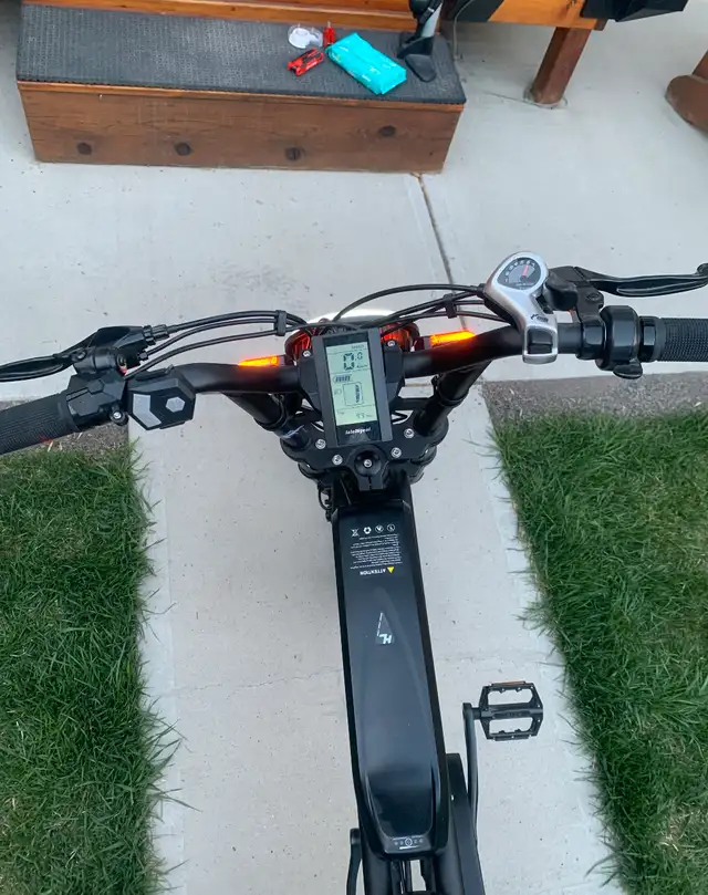 Moped Style E Bike62863274461442123