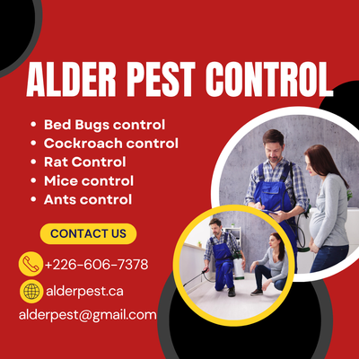 Pest control services, Woodstock, Call 226-606-7378, View more