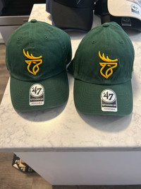 Edmonton Elks Hats