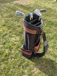 Golf bag and 4 clubs