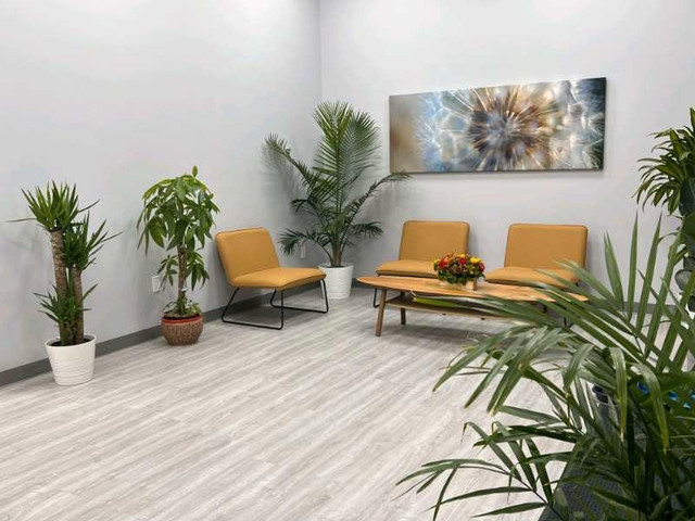 Profess-ional Mass-euse Leduc  in Health and Beauty Services in Edmonton - Image 3