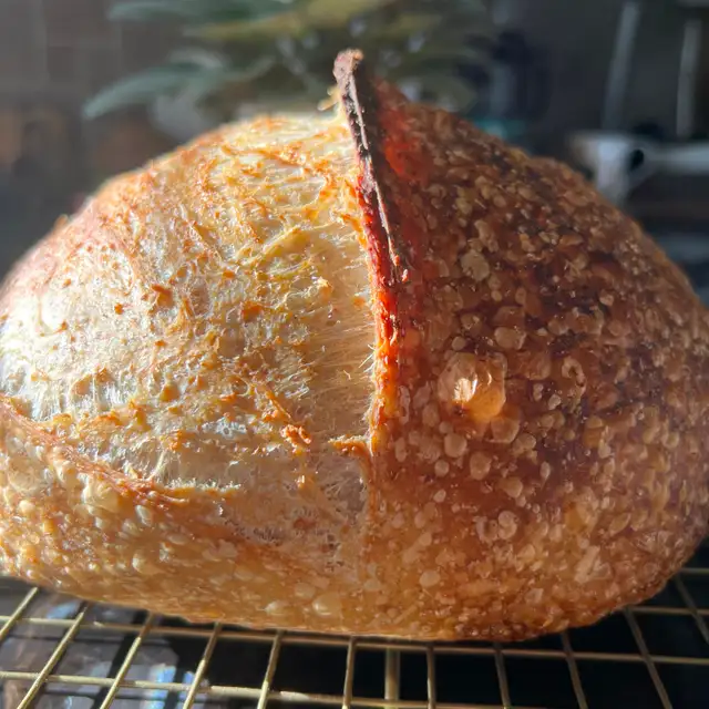 Online sourdough baking class65458275577345123