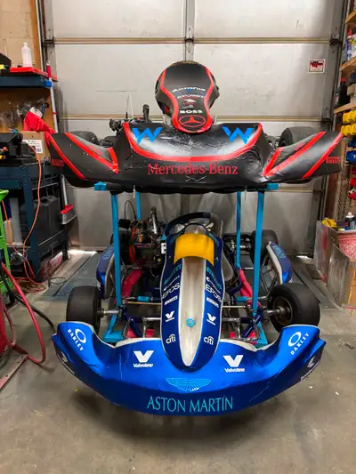 Serious buyers only please. Please only message unless you are truly interested in buying Both karts...