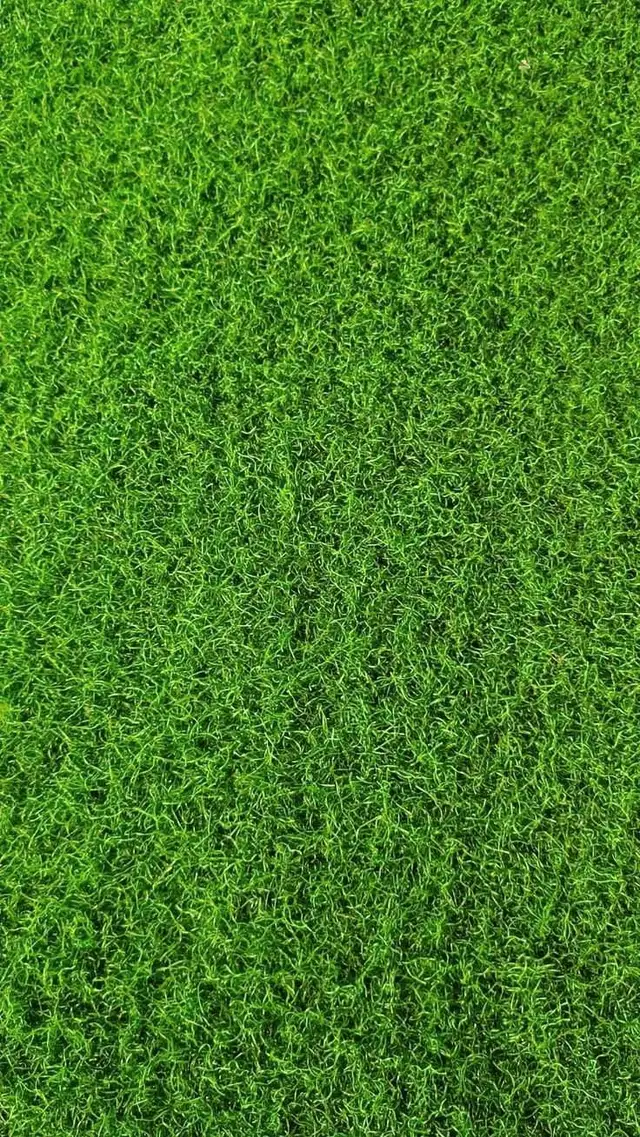 Lawn Care Service630056653053451211