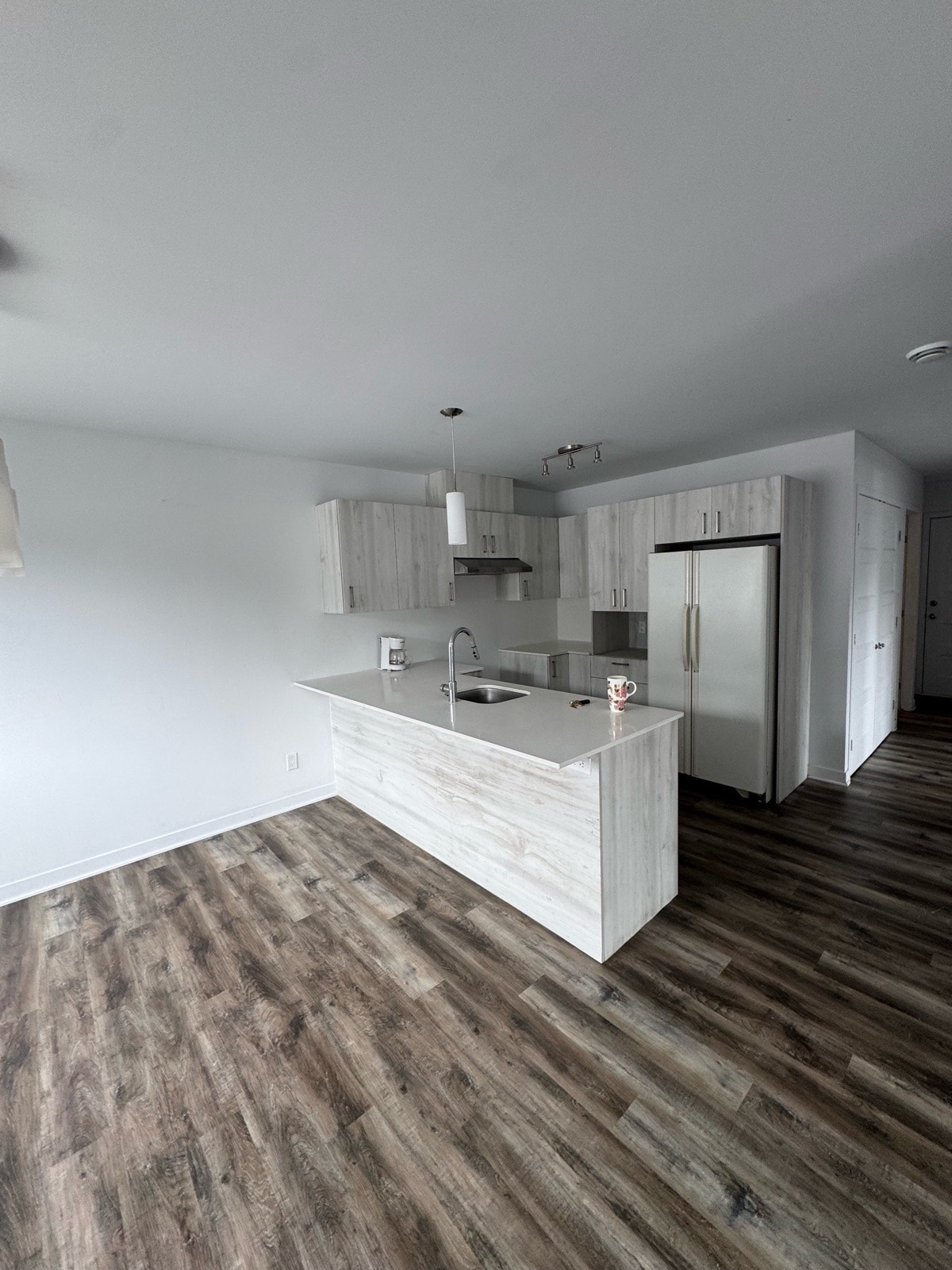 4,5 à louer St-Canut — photo 2