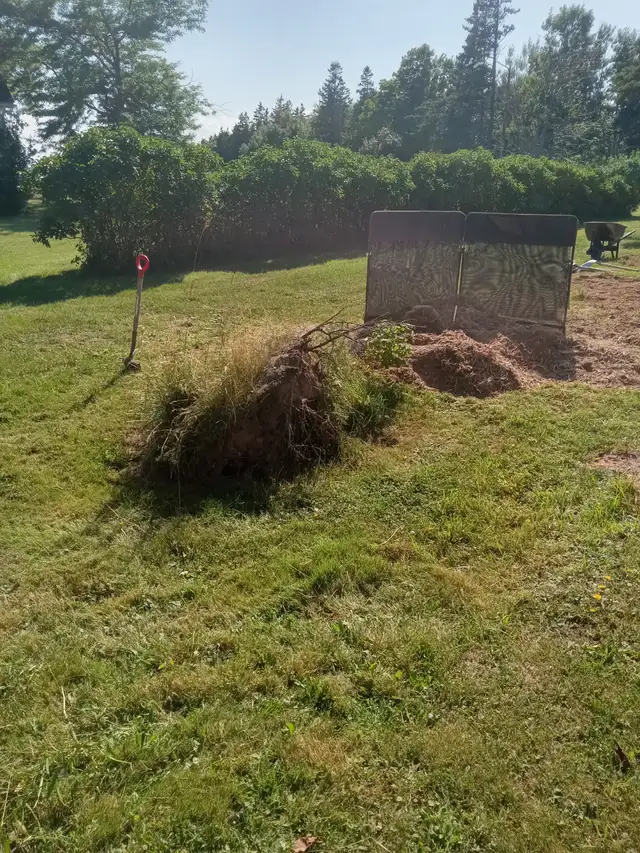 R U Stumped PEI - Stump removal in Lawn, Tree Maintenance & Eavestrough in Summerside - Image 4