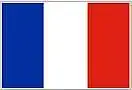 Bilingual Parisian French Teacher(skype,Teams)TEFaQ TFI TCF OQLF