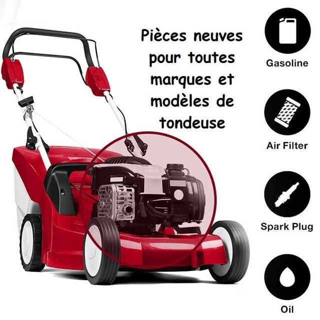 Entretien et réparation de tondeuse à gazon à domicile in Lawnmowers & Leaf Blowers in Gatineau - Image 4