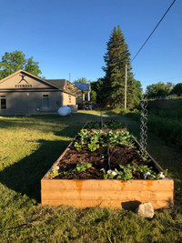 Garden planter boxes ( custom builds)