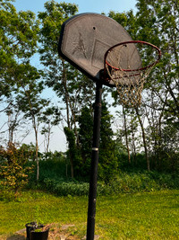 Lifetime adjustable portable basketball hoop