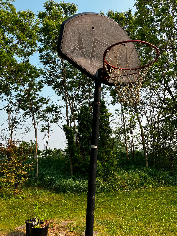 Lifetime adjustable portable basketball hoop in Basketball in Barrie