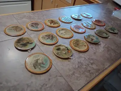 18 antique bird medallions. Been in storage for many years . Left over stock from a saint john gift...