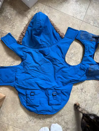 Dog jacket, View more