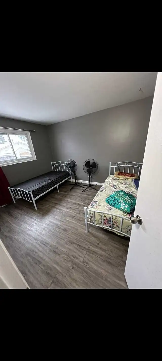 Shared room in kitchener 