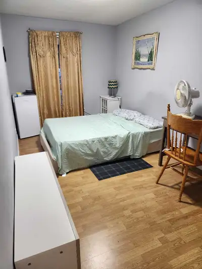 Large room walking distance to Bramalea city center Female working professional in a none Beaf or po...