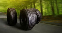 Seasonal tire change (with rims)