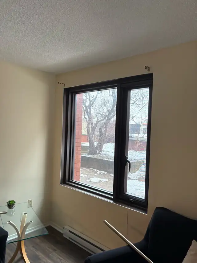 window film569705105919191044