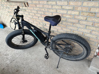  Electric fat tire bike 