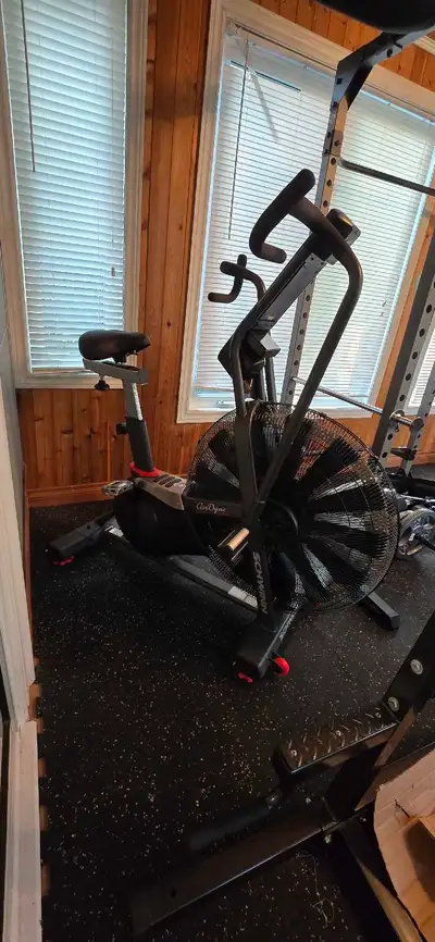 Schwinn Airdyne, View more
