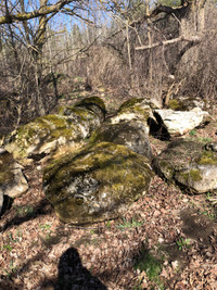 Landscape field stones 