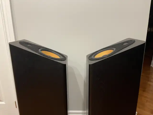 Gershman Acoustics Specter floor standing speakers in Speakers in Markham / York Region - Image 4