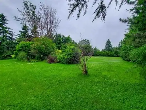 Gorgeous Lot Charlton Ontario, Option to Finance by owner in Land for Sale in Sudbury - Image 9