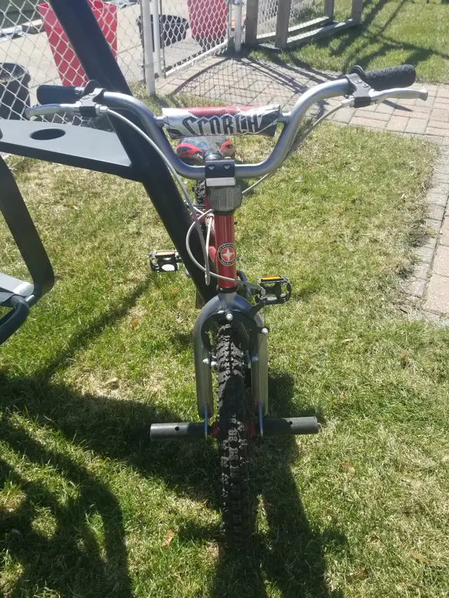 Unisex Schwin  16 inch Kids bike with training wheels in Kids in Cornwall - Image 4