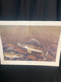 Tom Spatafore Yellow Pickerel Print