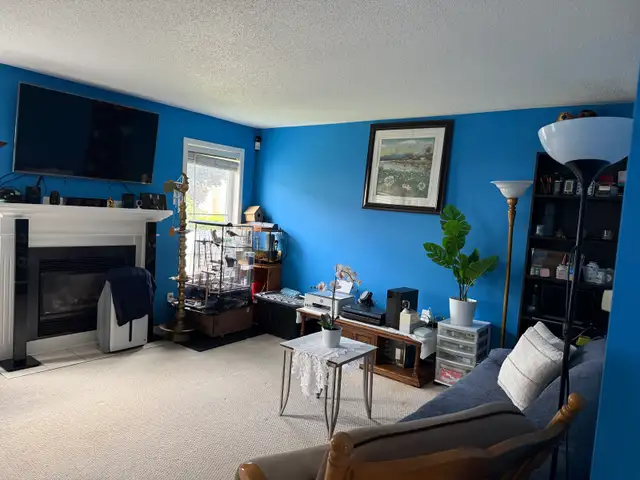 Deep cleaning/ Regular Cleaning581029300693913604