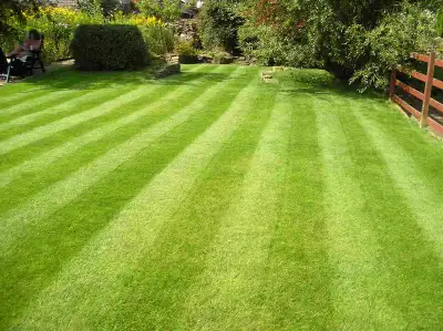 SPRING CLEANUPS - POWER RAKING - AERATION - LAWN CARE, View more
