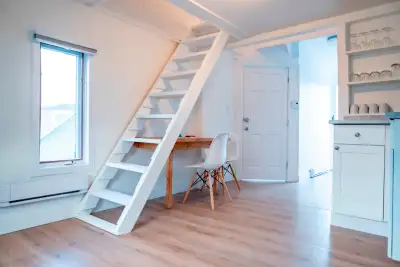 Fully Furnished + Utilities Included Downtown Studio Apartment